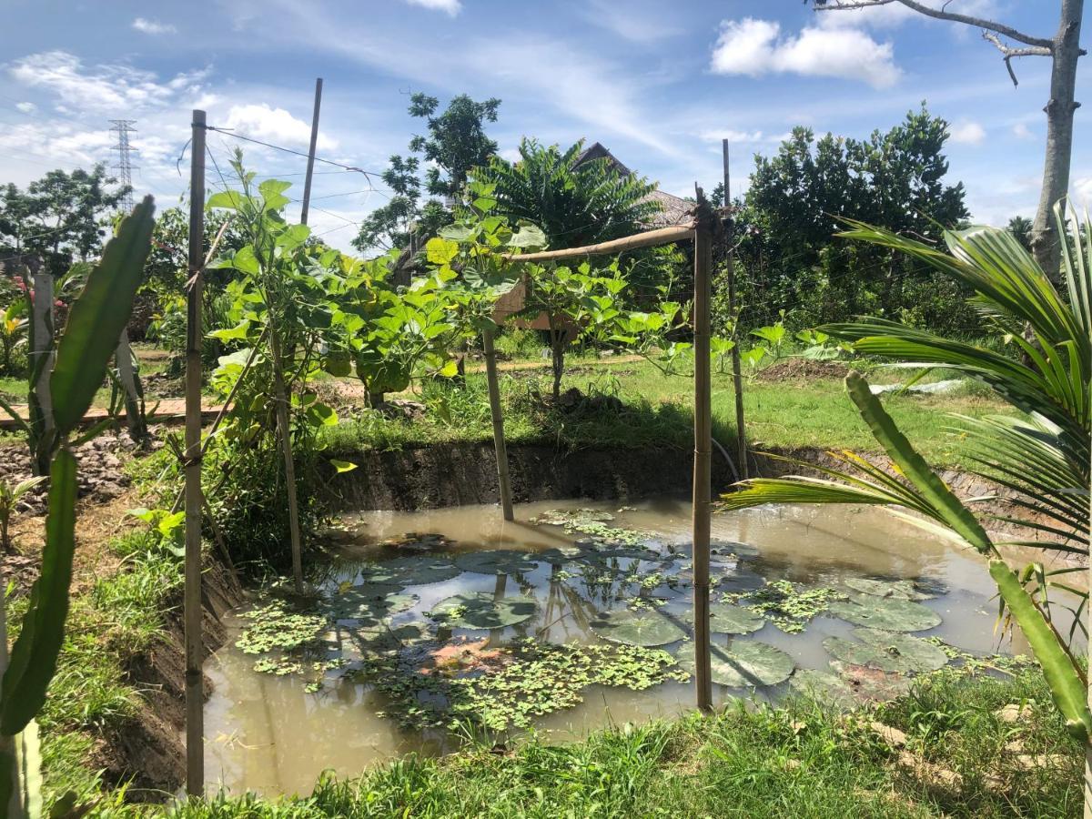 Mekong Daniel Homestay เกิ่นเทอ ภายนอก รูปภาพ