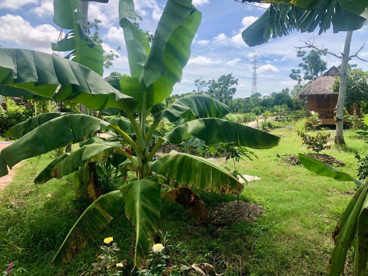 Mekong Daniel Homestay เกิ่นเทอ ภายนอก รูปภาพ