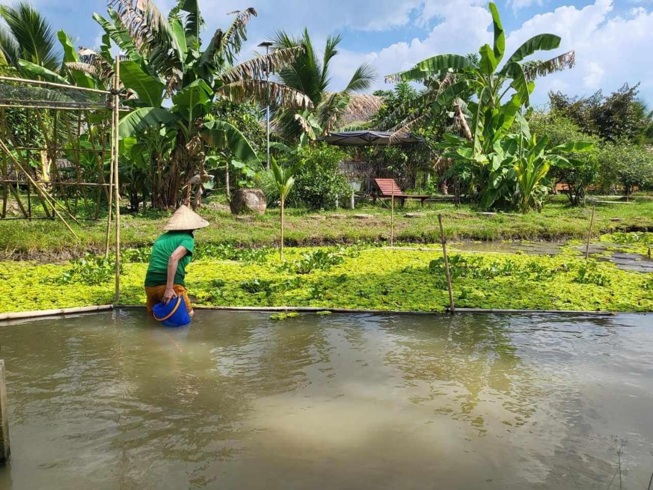 Mekong Daniel Homestay เกิ่นเทอ ภายนอก รูปภาพ