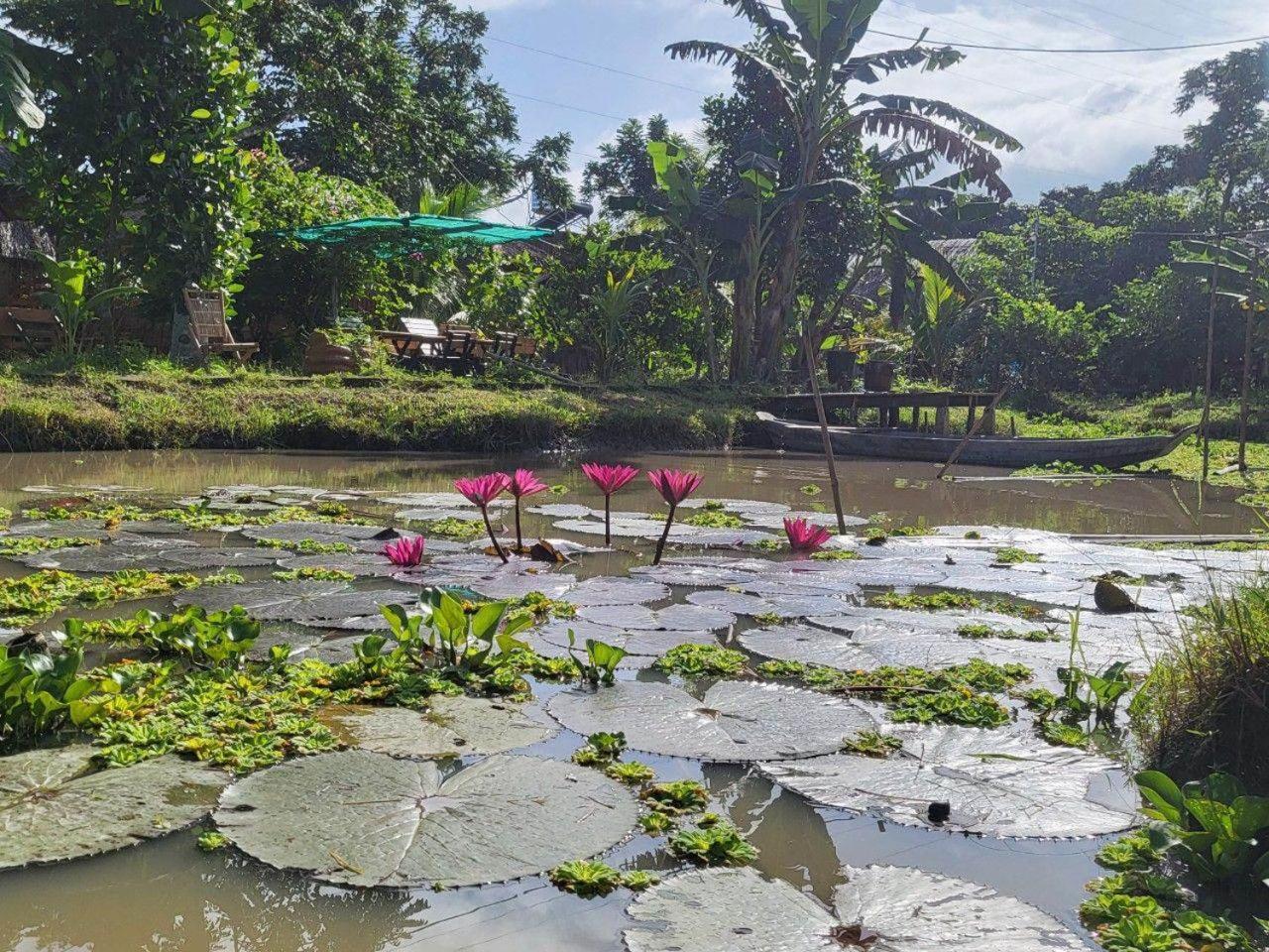 Mekong Daniel Homestay เกิ่นเทอ ภายนอก รูปภาพ